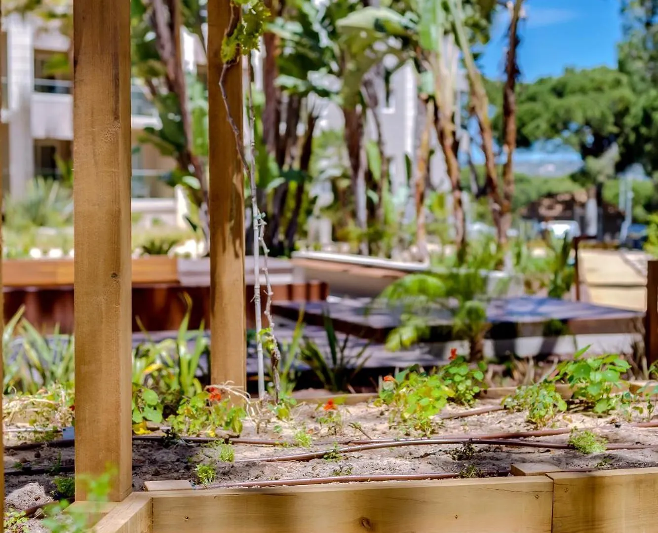 Falesia Hotel - Adults Only Albufeira