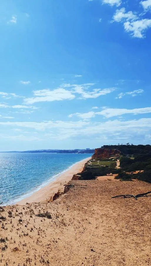 Falesia Hotel - Adults Only Albufeira 4*,  Portugal