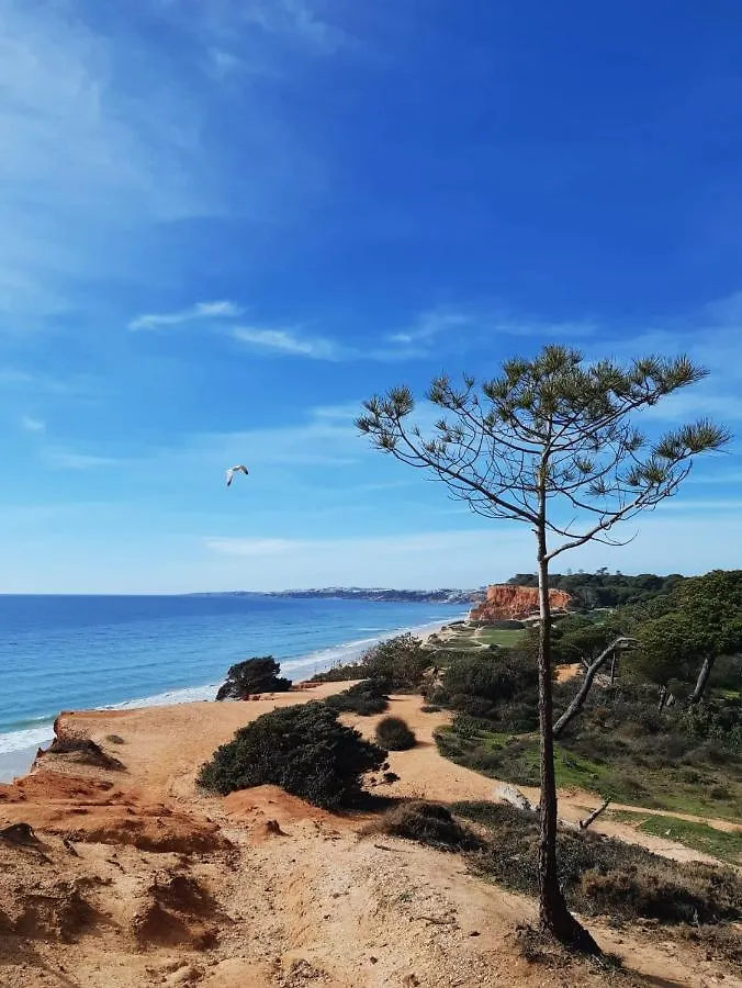 Falesia Hotel - Adults Only Albufeira 4*,